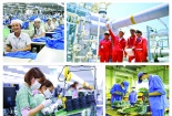 Tạo sức bật mới cho nền kinh tế Việt Nam: Bắt đầu từ nội lực doanh nghiệp
