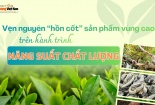 [Longform] Vẹn nguyên ‘hồn cốt’ sản phẩm vùng cao trên hành trình năng suất chất lượng
