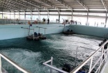 TCVN 12525-1:2018 về hệ thống tái sử dụng nước khu vực đô thị
