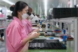 Năm 2025, vốn đầu tư trực tiếp nước ngoài thực hiện cao nhất trong 5 năm qua