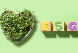 ESG – đòn bẩy mới cho doanh nghiệp Việt trên hành trình phát triển bền vững