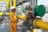 Ứng dụng khí tự nhiên trong tiến trình xanh hóa công nghiệp Việt Nam