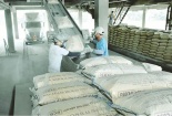 Xi măng xanh: Nâng cao năng suất gắn với mục tiêu giảm phát thải CO₂