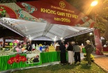 Không gian Tết Việt 2026- đậm sắc màu Tết Hà Nội xưa