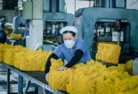 Nâng năng suất, kiểm soát chi phí: Động lực tăng trưởng mới của ngành cao su