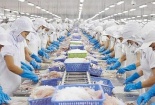 Doanh nghiệp xuất khẩu cần thực thi 4 quy định mới của EU trong năm 2026 