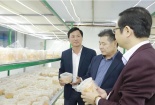 Nâng tầm dược liệu: Từ sản phẩm OCOP đến động lực tăng trưởng kinh tế địa phương