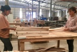Tăng năng suất, nâng vị thế: Hướng đi bền vững cho ngành gỗ Việt Nam