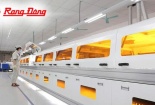 SMEs 'lột xác' nhờ ISO và chuyển đổi số: Hành trình từ thích nghi đến bứt phá