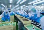 Tiêu chuẩn HACCP: Giải pháp nâng cao năng lực cạnh tranh cho doanh nghiệp thực phẩm