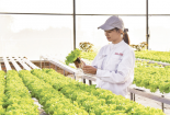 Minh bạch dữ liệu, nền tảng của khởi nghiệp xanh
