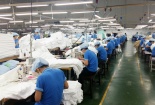 ISO 9001 kết hợp Kaizen: Giải pháp “vàng” nâng cao năng suất và chất lượng cho doanh nghiệp Việt