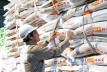 PVFCCo - Phú Mỹ: Niềm tin trọn vẹn với danh hiệu Hàng Việt Nam Chất lượng cao 2026