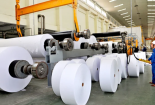 Áp dụng công cụ kiểm soát chất lượng thúc đẩy nâng cao năng suất, chất lượng sản xuất giấy
