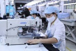 Minh bạch hóa hoạt động thông báo và hỏi đáp về hàng rào kỹ thuật trong thương mại