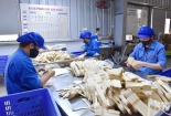 Tối ưu môi trường làm việc để nâng năng suất