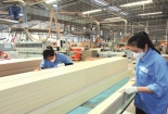Năng suất trong ngành gỗ: Khi doanh nghiệp 'số hóa từng tấm ván' để đi xa hơn thị trường xuất khẩu