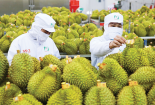 Kết hợp ISO 22000 với Kaizen: Hướng đi bền vững cho doanh nghiệp thực phẩm