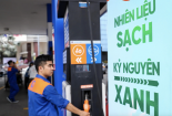Thiết lập hàng rào quy chuẩn nghiêm ngặt với xăng E10 trước khi đưa ra thị trường 