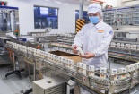 Trách nhiệm của tổ chức, cá nhân trong việc áp dụng quy chuẩn kỹ thuật 
