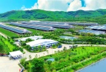 Carbon footprint: Chỉ số mới đang thay đổi cách doanh nghiệp sản xuất