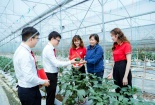 Hỗ trợ tối đa 80% chi phí cho doanh nghiệp nhỏ và vừa nâng cao năng suất, chất lượng sản phẩm
