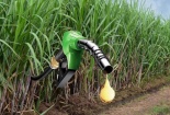 Nhật Bản đề xuất tiêu chuẩn khí thải mới cho nguyên liệu ethanol nhập khẩu 
