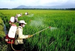 Khi thuốc bảo vệ thực vật sinh học cần một 'hàng rào' chất lượng