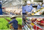 TCVN ISO 22003-1:2025 tạo nền tảng cho hoạt động chứng nhận an toàn thực phẩm minh bạch, hiệu quả
