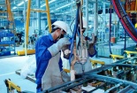 Chuẩn hóa công việc: Nền tảng của năng suất bền vững