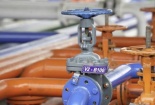 Nhiên liệu điêzen sinh học gốc (B100) phải đáp ứng yêu cầu gì trước khi lưu thông?