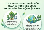 TCVN 14596:2025: Nâng chuẩn quản lý rừng trong chuỗi cung ứng xanh