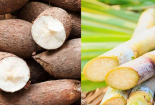Lưu ý khi chọn mua các sản phẩm mì chính trên thị trường