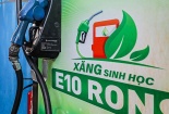 Kiểm soát chất lượng xăng E10: Từ hành lang kỹ thuật đến giám sát thị trường