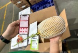 Thí điểm truy xuất nguồn gốc - Saigon Co.op mạnh tay trong công tác quản lý chất lượng
