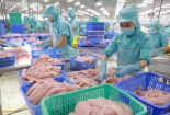 Singapore cảnh báo các doanh nghiệp xuất khẩu hàng hóa cần khai báo đúng