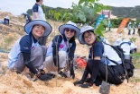 Trồng mới 5.500 cây xanh trong Ngày hội trồng rừng năm 2026 