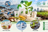 Tiêu chuẩn hóa chất dẻo phân hủy sinh học: Giải pháp cho phát triển bền vững
