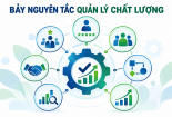 Bảy nguyên tắc quản lý chất lượng – Nền tảng nâng cao hiệu quả hoạt động của tổ chức