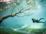 Thiên đường dưới nước đẹp như tranh