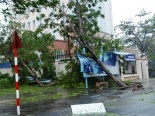 Cập nhật diễn biến bão số 11: Đà Nẵng tan hoang