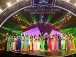 Rực rỡ đêm Chung khảo Hoa hậu Việt Nam 2014 khu vực phía Nam