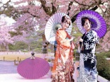 Lạc vào xứ 'mặt trời mọc' với lễ hội hoa anh đào Nhật Bản