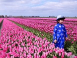 Ngắm hoàng tử lai Việt - Hà Lan trên cánh đồng hoa tulip 