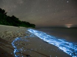 Kỳ lạ dải ánh sáng màu xanh phát sáng giữa vùng biển hàng trăm năm