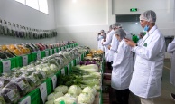 Mở cửa thị trường bằng 'hộ chiếu số'