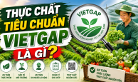 VietGAP: Không chỉ là 'tem rau sạch'