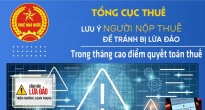 https://vietq.vn/tong-cuc-thue-canh-bao-hanh-vi-gia-danh-can-bo-co-quan-thue-de-lua-dao-d219966.html