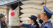 https://vietq.vn/tang-cuong-chong-buon-lau-va-gian-lan-thuong-mai-voi-mat-hang-duong-cat-d231757.html