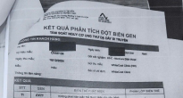 https://vietq.vn/tphcm-kiem-tra-dot-xuat-phong-kham-whitecoat-nghi-lam-gia-giay-xet-nghiem-tam-soat-ung-thu-d232459.html